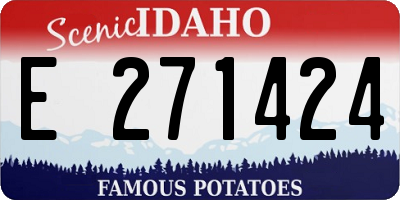 ID license plate E271424