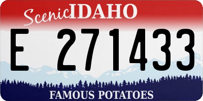 ID license plate E271433
