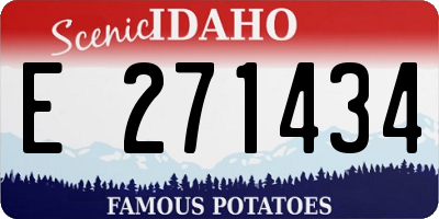 ID license plate E271434