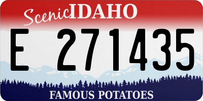 ID license plate E271435