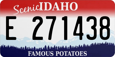 ID license plate E271438