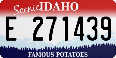 ID license plate E271439