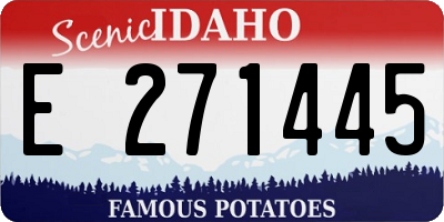 ID license plate E271445