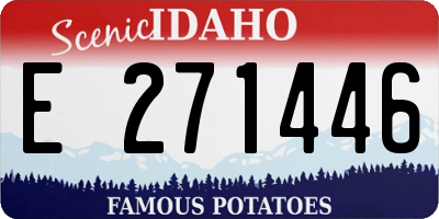 ID license plate E271446