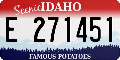 ID license plate E271451