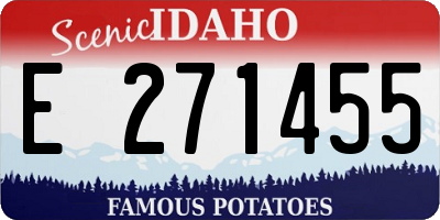 ID license plate E271455