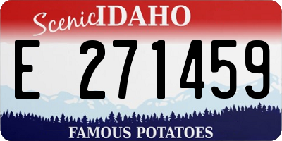 ID license plate E271459