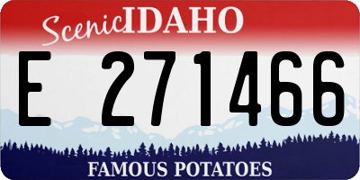ID license plate E271466