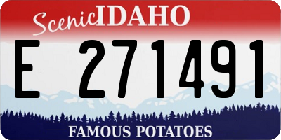 ID license plate E271491