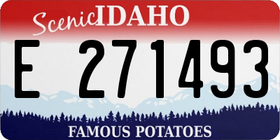 ID license plate E271493