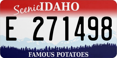 ID license plate E271498
