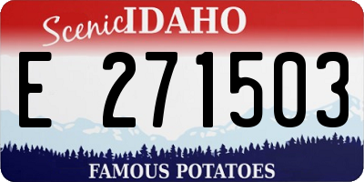 ID license plate E271503