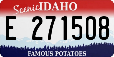 ID license plate E271508