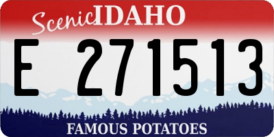 ID license plate E271513