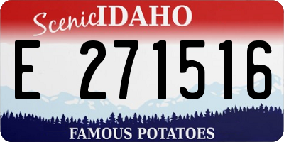 ID license plate E271516