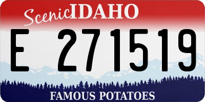 ID license plate E271519