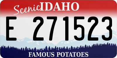 ID license plate E271523