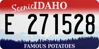 ID license plate E271528