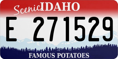 ID license plate E271529