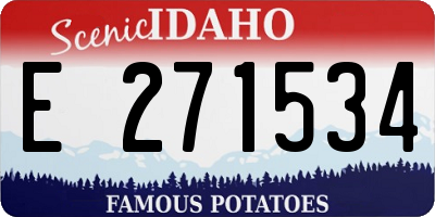 ID license plate E271534
