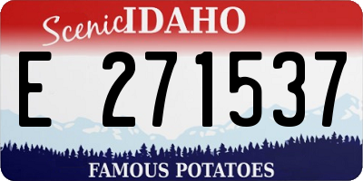 ID license plate E271537