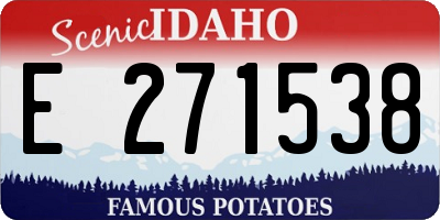 ID license plate E271538