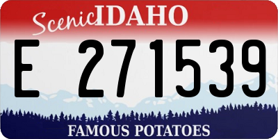 ID license plate E271539