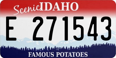 ID license plate E271543