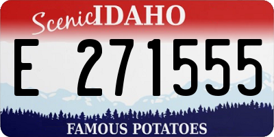 ID license plate E271555