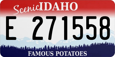 ID license plate E271558