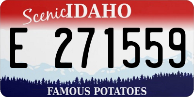 ID license plate E271559