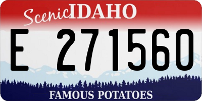 ID license plate E271560