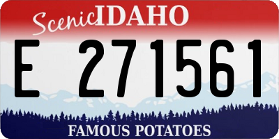 ID license plate E271561
