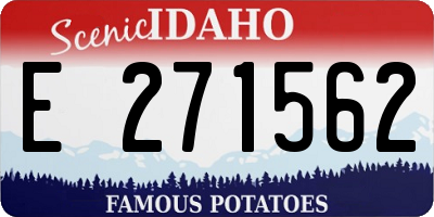 ID license plate E271562