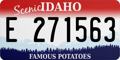 ID license plate E271563