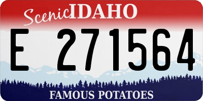 ID license plate E271564