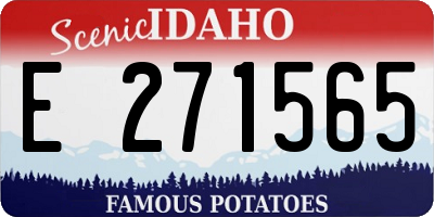 ID license plate E271565