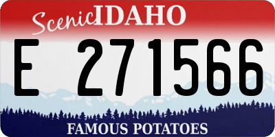 ID license plate E271566