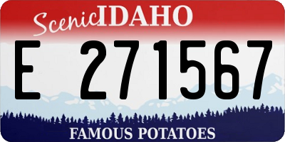 ID license plate E271567