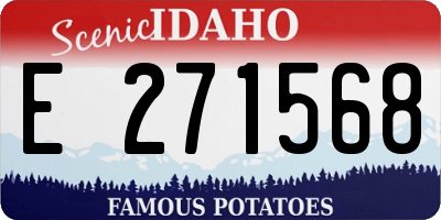 ID license plate E271568