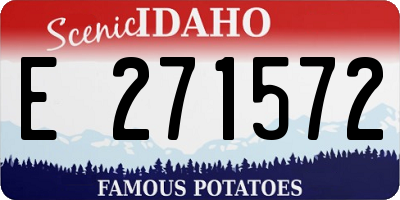 ID license plate E271572