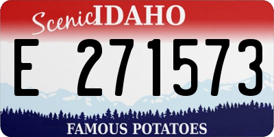 ID license plate E271573