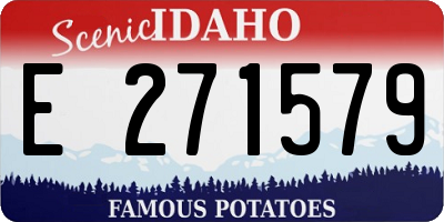ID license plate E271579