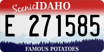 ID license plate E271585