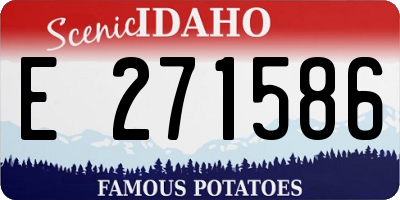 ID license plate E271586