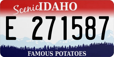ID license plate E271587