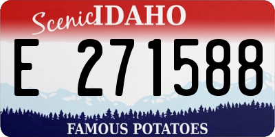 ID license plate E271588