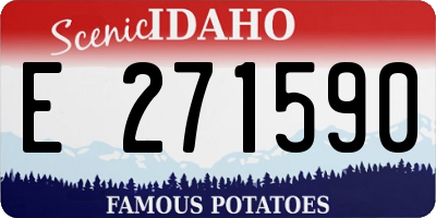 ID license plate E271590