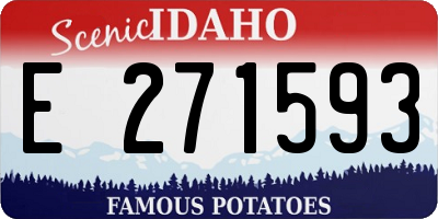 ID license plate E271593