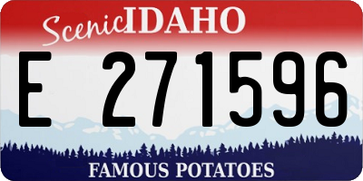 ID license plate E271596